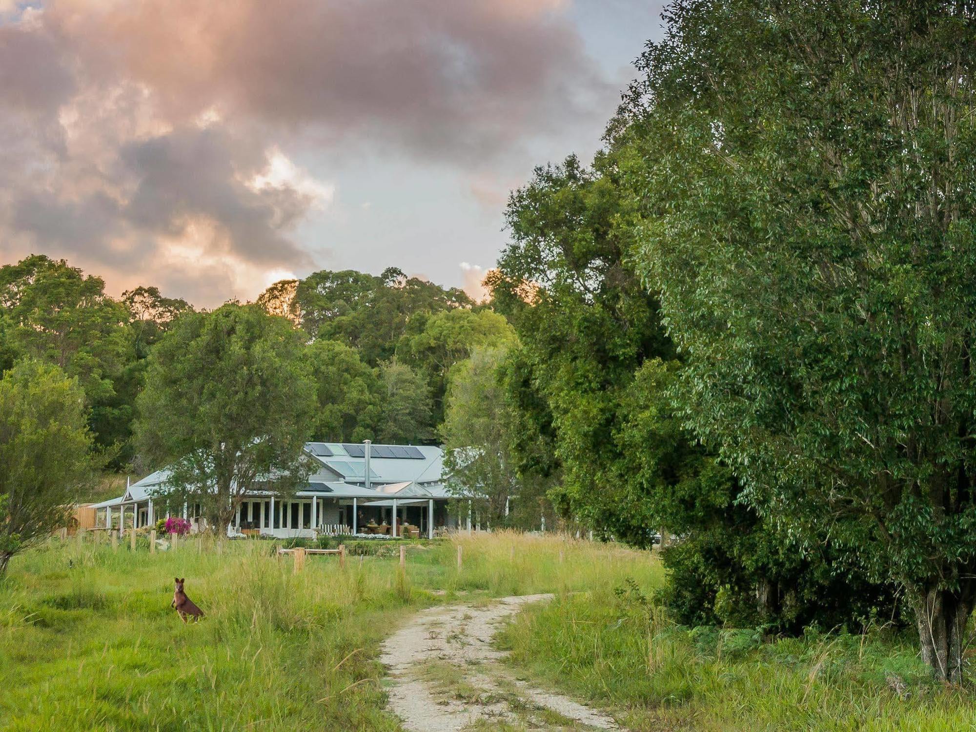 Abelia House Bed & Breakfast Byron Bay Exterior photo